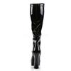 Pleaser - ELECTRA2000Z Botte au genou - Noir Product image